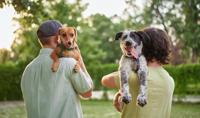 We welcome all your furry friends two people holding dogs